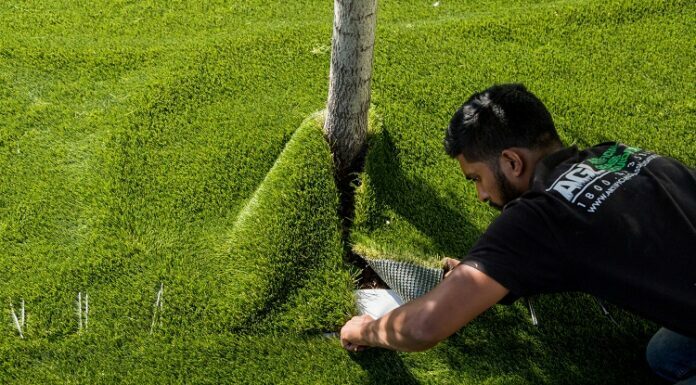 Get The Best Artificial Grass Installers For A Heavenly Lawn Get The Best Artificial Grass Installers For A Heavenly Lawn