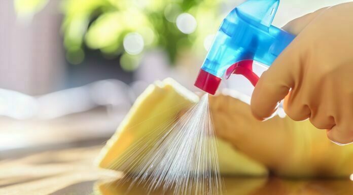 Tips for Keeping Your House Clean and Germ Free Keeping Your House Clean and Germ Free