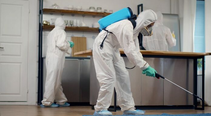 How To Choose a Pest Control Company Pest Control