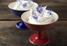 NY Best Summer Dessert Destinations NY Best Summer Dessert Destinations
