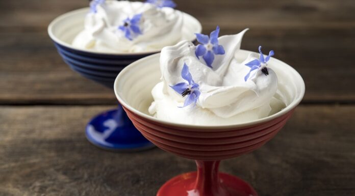 NY Best Summer Dessert Destinations NY Best Summer Dessert Destinations