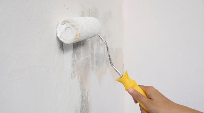 The Ultimate Guide to Choosing the Right House Painters for Your Project House Painters