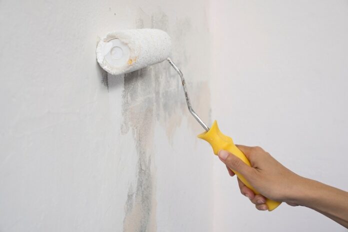 House Painters House Painters