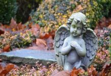 Sculpting Serenity Statue Placement