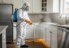 Rockville Pest Control: Why Professional Inspections Keep Your Home Healthy and Safe Rockville Pest Control